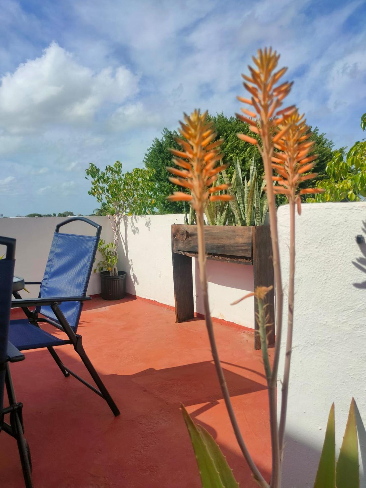 Casa Coraza Apartment Cancun Exterior photo