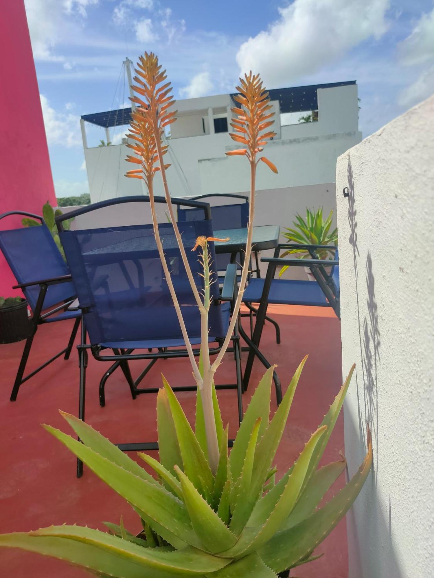 Casa Coraza Apartment Cancun Exterior photo
