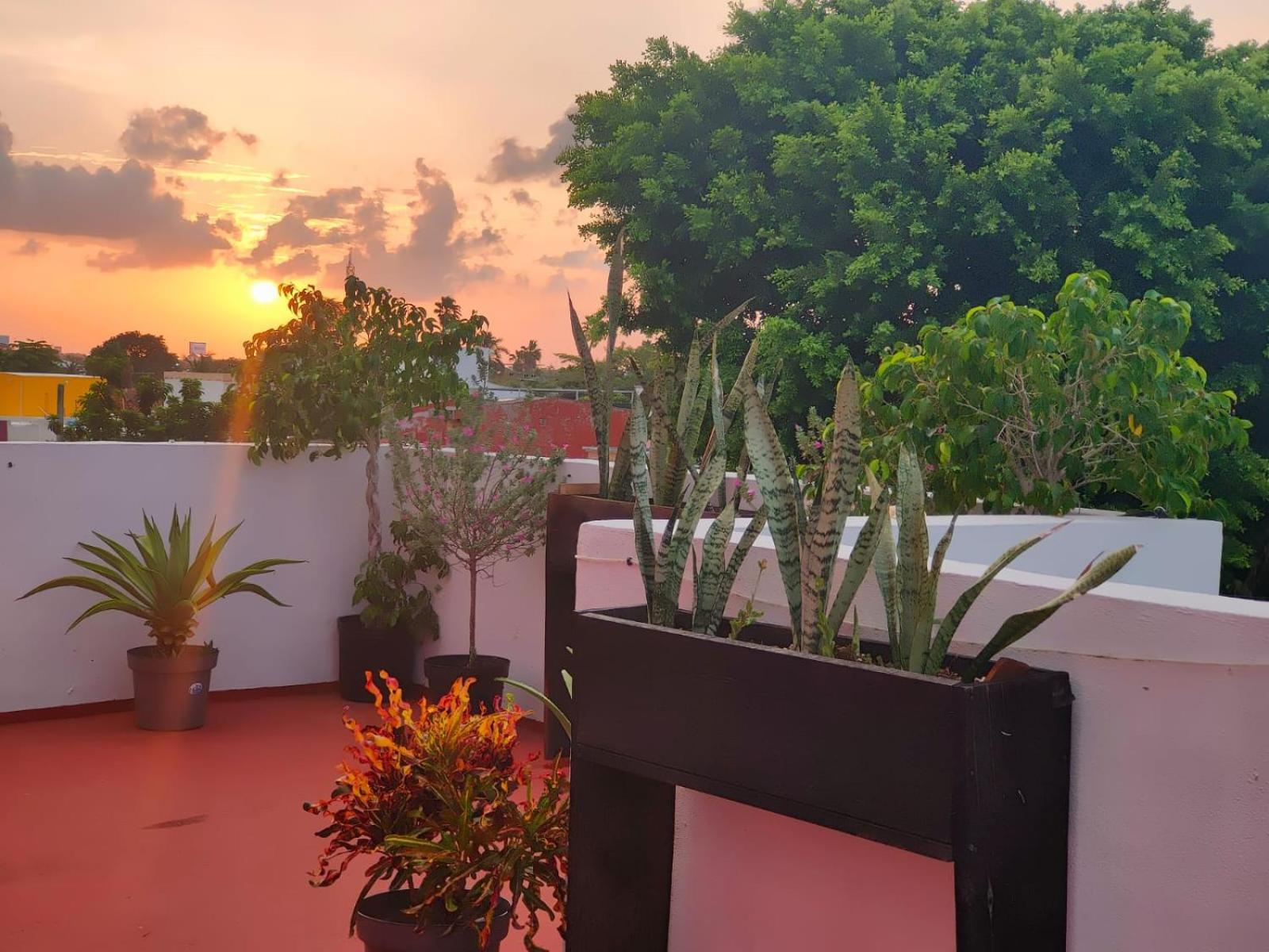 Casa Coraza Apartment Cancun Exterior photo
